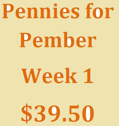 Pennies for Pember