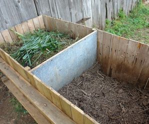 Composting with Brian ~ June 30 6PM