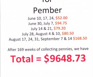 Pennies for Pember nearing goal