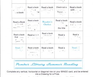 Summer Reading bingo for teens and adults