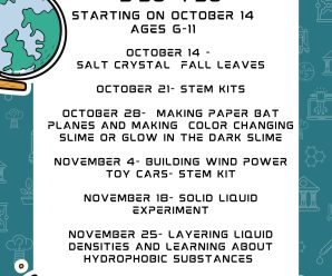Mad Scientist Club